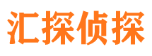 宝塔市私家侦探